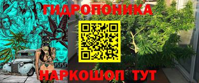 стаф Бузулук