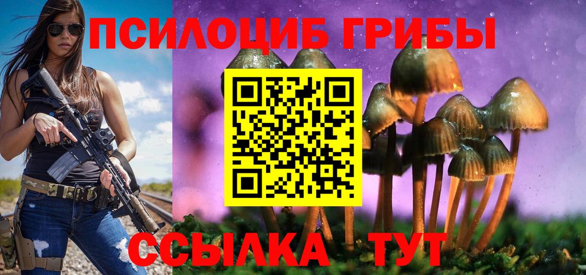 Галлюциногенные грибы Psilocybine cubensis  Вход с VPN  Галлюциногенные грибы Psilocybine cubensis  Вичуга 