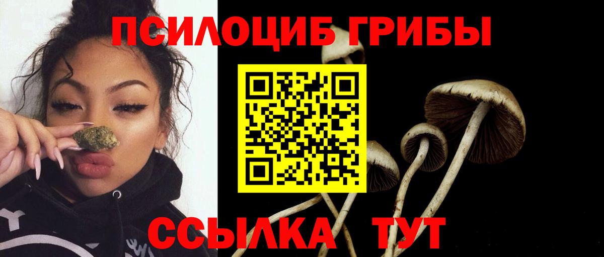 Галлюциногенные грибы Magic Shrooms Вичуга
